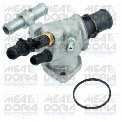 Thermostat, coolant